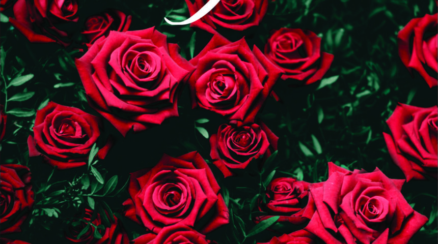 -50% chez Phydra Pour la Saint-Valentin