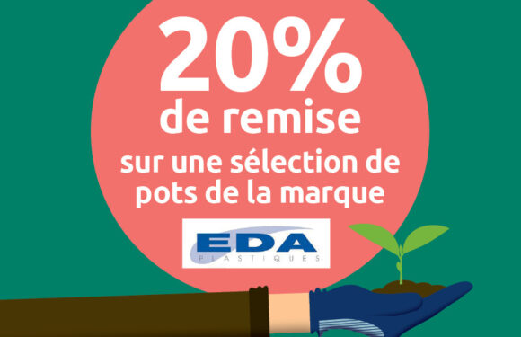 Remise chez Mr. Bricolage Remise chez Mr. Bricolage