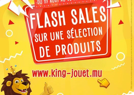 Flash Sales chez King Jouet Flash Sales chez King Jouet