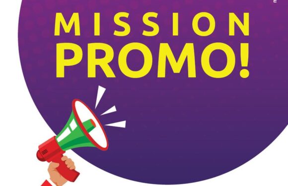Mission promo chez Mr. Bricolage Mission promo chez Mr. Bricolage